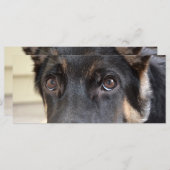 German Shepherd door Shirley Taylor (Voorkant / Achterkant)