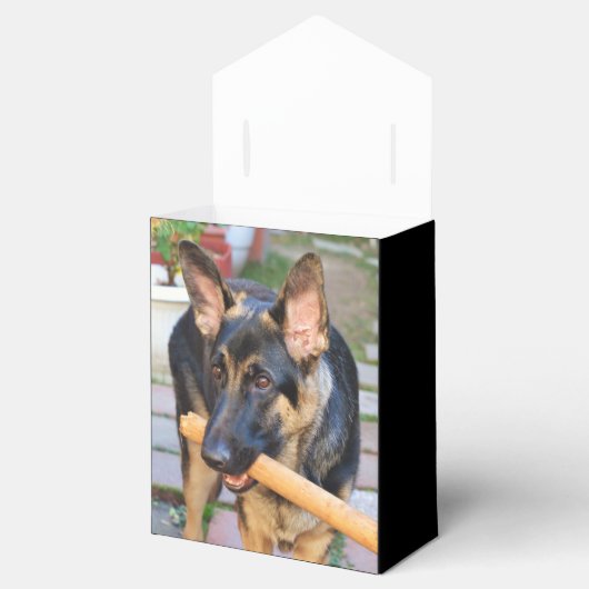 German Shepherd door Shirley Taylor Bedankdoosjes (Geopend)