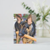 German Shepherd door Shirley Taylor Briefkaart (Staand voorkant)