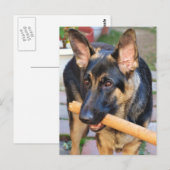 German Shepherd door Shirley Taylor Briefkaart (Voorkant / Achterkant)