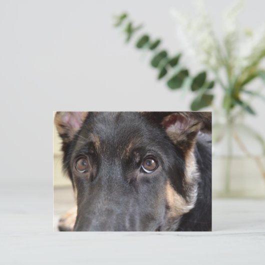 German Shepherd door Shirley Taylor Briefkaart (Staand voorkant)