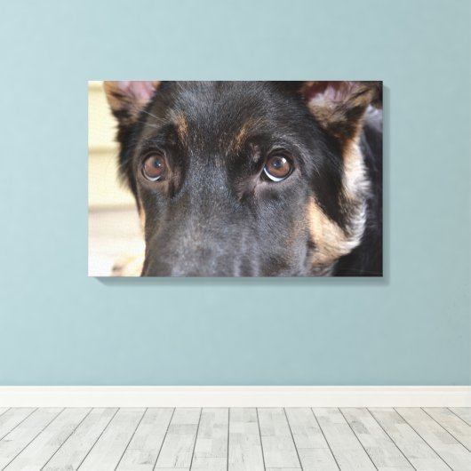 German Shepherd door Shirley Taylor Canvas Afdruk (Insitu (Houten vloer))