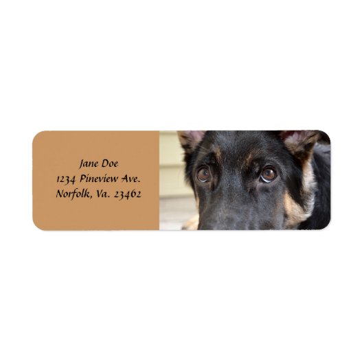 German Shepherd door Shirley Taylor Etiket (Voorkant)