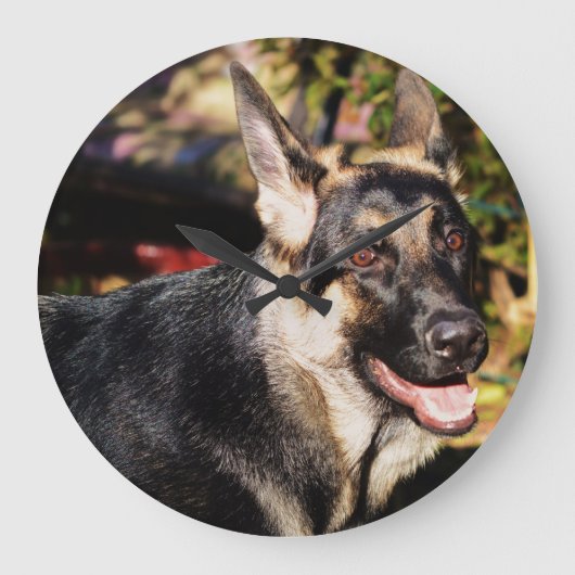 German Shepherd door Shirley Taylor Grote Klok (Voorkant)