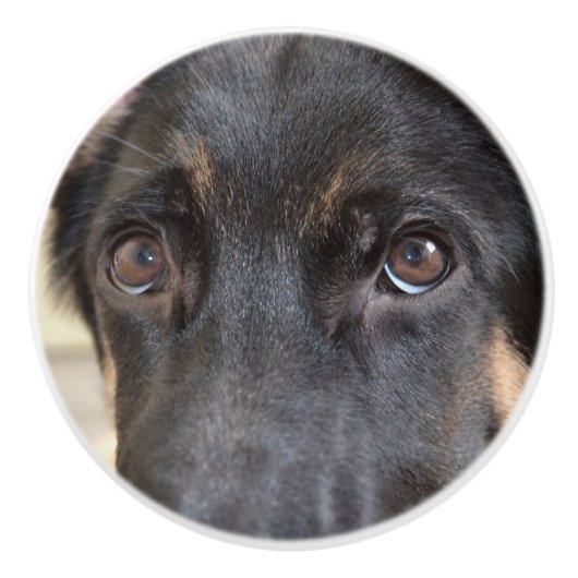 German Shepherd door Shirley Taylor Keramische Knop (Voorkant)