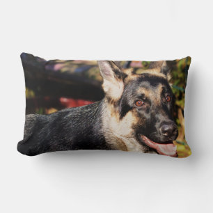 German Shepherd door Shirley Taylor Kussen