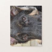 German Shepherd door Shirley Taylor Legpuzzel (Verticaal)
