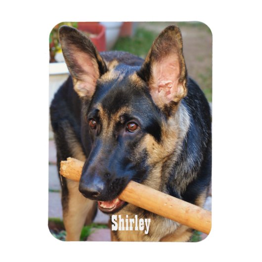German Shepherd door Shirley Taylor Magneet (Verticaal)