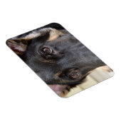 German Shepherd door Shirley Taylor Magneet (Rechterzijde)