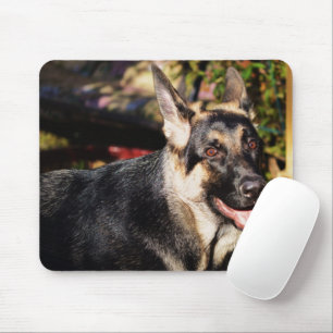 German Shepherd door Shirley Taylor Muismat