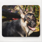 German Shepherd door Shirley Taylor Muismat (Voorkant)