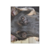 German Shepherd door Shirley Taylor Notitieblok (Linkerzijde)