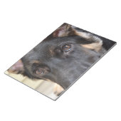 German Shepherd door Shirley Taylor Notitieblok (Schuin)
