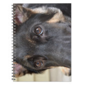 German Shepherd door Shirley Taylor Notitieboek (Voorkant)