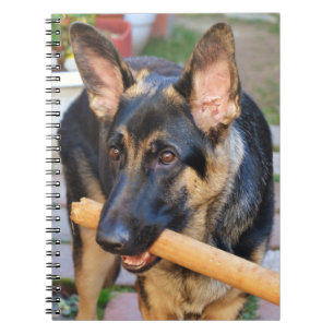 German Shepherd door Shirley Taylor Notitieboek