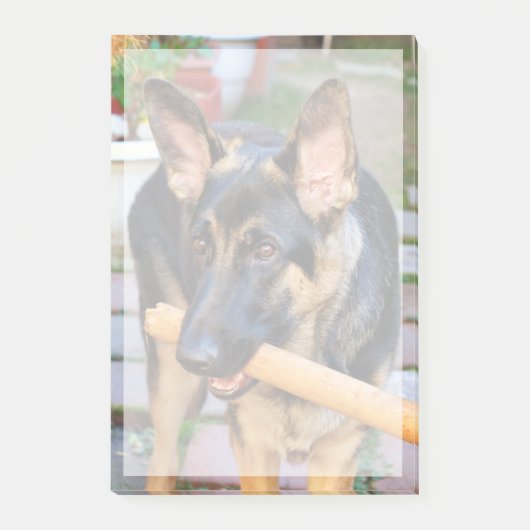 German Shepherd door Shirley Taylor Post-it® Notes (Voorkant)