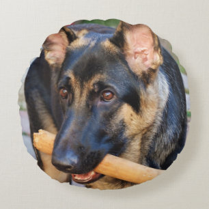 German Shepherd door Shirley Taylor Rond Kussen