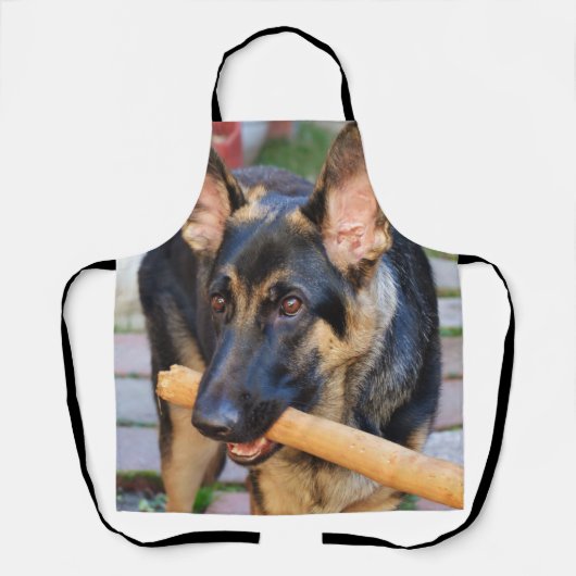 German Shepherd door Shirley Taylor Schort (Voorkant)