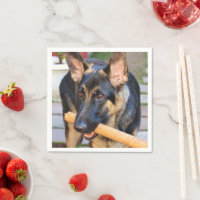 German Shepherd door Shirley Taylor