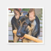 German Shepherd door Shirley Taylor Servet (Voorkant)