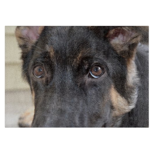 German Shepherd door Shirley Taylor Snijplank (Voorkant)