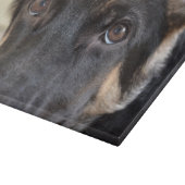 German Shepherd door Shirley Taylor Snijplank (Hoek)