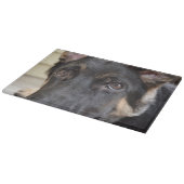 German Shepherd door Shirley Taylor Snijplank (Hoek)