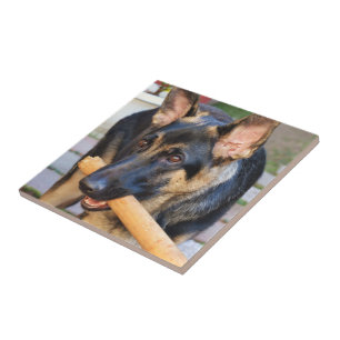 German Shepherd door Shirley Taylor Tegeltje