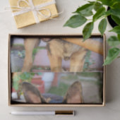 German Shepherd door Shirley Taylor Tissuepapier (Geschenk)