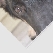 German Shepherd door Shirley Taylor Tissuepapier (Detail)