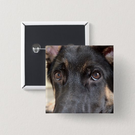 German Shepherd door Shirley Taylor Vierkante Button 5,1 Cm (Voorkant /achterkant)