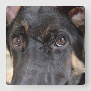 German Shepherd door Shirley Taylor Vierkante Klok