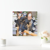 German Shepherd door Shirley Taylor Vierkante Klok (Huis)