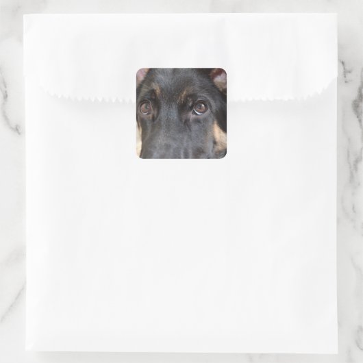 German Shepherd door Shirley Taylor Vierkante Sticker (Tas)