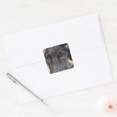 German Shepherd door Shirley Taylor Vierkante Sticker (Envelop)
