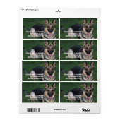 German Shepherd Etiket (Full Sheet)