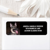 German Shepherd Etiket (Insitu)