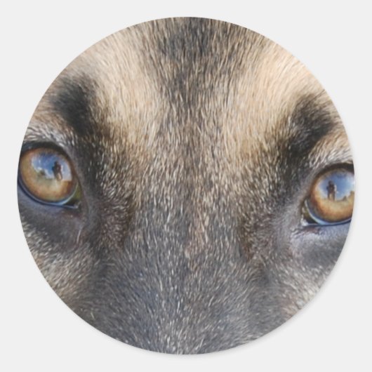 German Shepherd Eyes Ronde Sticker (Voorkant)