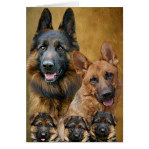 German Shepherd Family Card