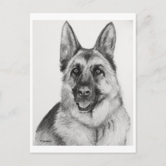 German Shepherd Fine Art Briefkaart (Voorkant)