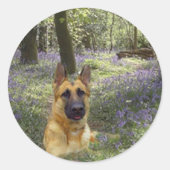 German Shepherd Forest Sticker (Voorkant)