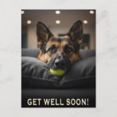 German Shepherd Get Well Postcard Briefkaart (Voorkant)