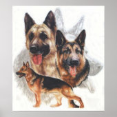 German Shepherd "Ghost" Collage Poster (Voorkant)