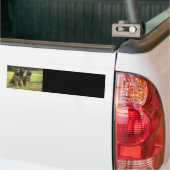 German Shepherd Gifts Bumpersticker (Op Truck)