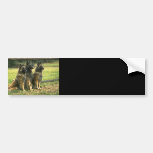 German Shepherd Gifts Bumpersticker (Voorkant)
