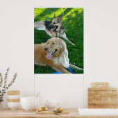 German Shepherd/Golden Retriever Poster (Keuken)