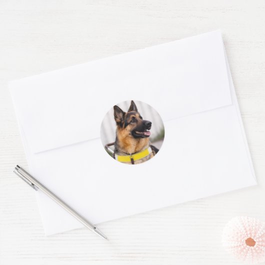 German Shepherd Guide Dog Graduation Envelope Seal Ronde Sticker (Envelop)
