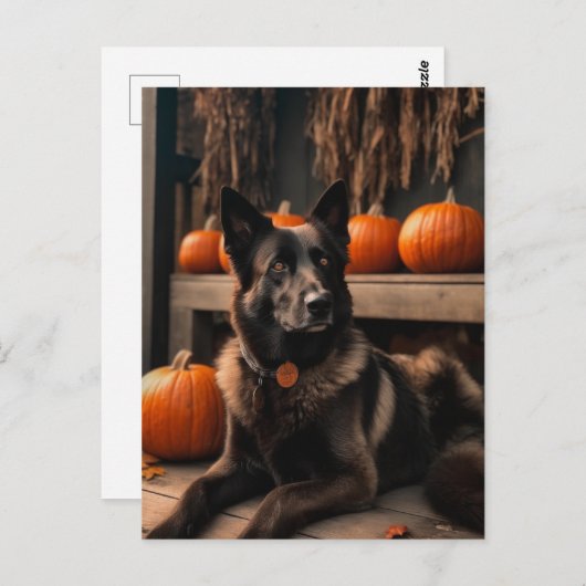 German Shepherd Halloween Briefkaart (Voorkant / Achterkant)