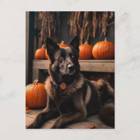 German Shepherd Halloween Briefkaart (Voorkant)