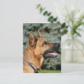 German Shepherd Headshot 1 Briefkaart (Staand voorkant)